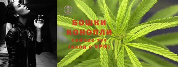 гидра Касимов