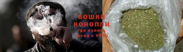 гидра Касимов