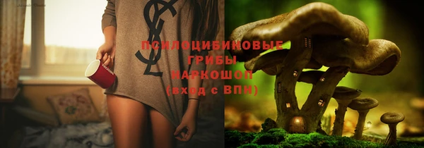 кристаллы Карпинск
