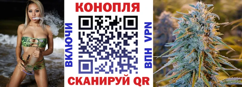 Купить закладки Заинск Бошки марихуана гибрид